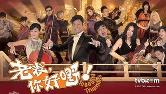 老表你好噑在线播放,网络爆笑喜剧的在线狂欢之旅
