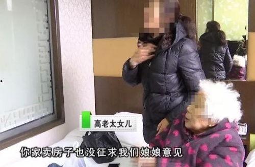 徐老太儿媳爆料视频,揭露家庭矛盾背后的真相
