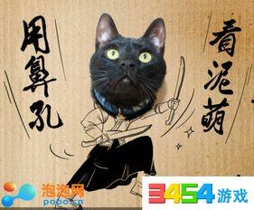 黑猫网红爆料视频大全下载,揭秘网络红人幕后真相