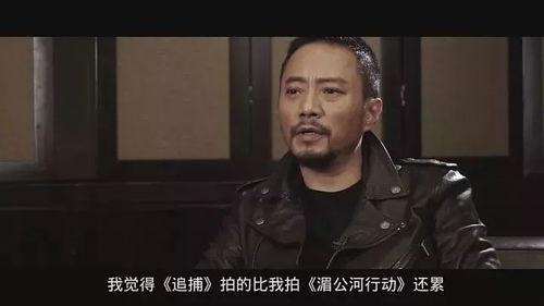 追捕日本票房,揭秘动作巨制背后的辉煌战绩