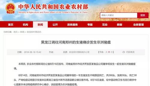 最新情况爆料,重大事件背后真相曝光