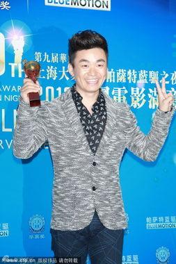 2013av得奖,盘点年度最佳作品与明星