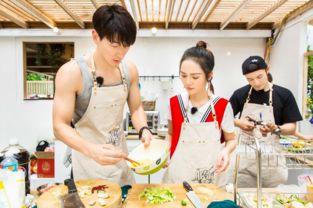 中餐厅免费观看全集,美食之旅，尽享中华美食盛宴