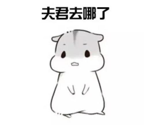 老公那在哪表情包,老公那在哪？表情包带你领略幽默瞬间