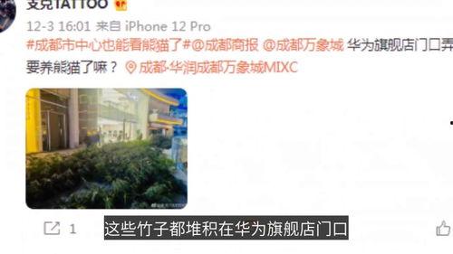 全椒网友爆料高辰辰视频,高辰辰视频引发网友热议，真相究竟如何？