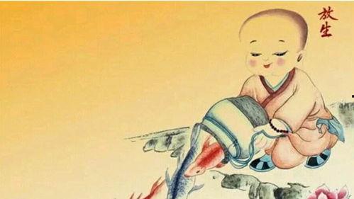 放生仪轨视频,一场心灵的净化之旅