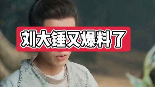 娱乐爆料大锤是谁啊视频,他是谁？