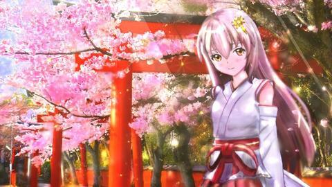 日本风 纯音乐,漫步日本古典旋律之旅