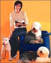 明星和狗狗,宠物界的明星搭档